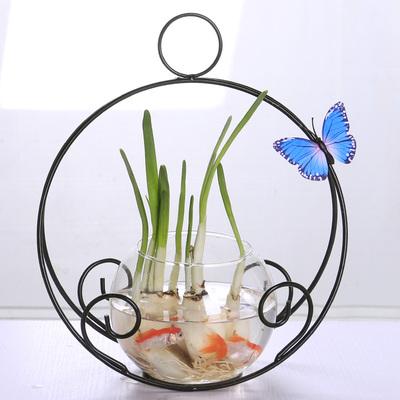 绿萝水培植物玻璃透明花瓶创意水养插花花盆铁艺器皿桌面装饰摆件
